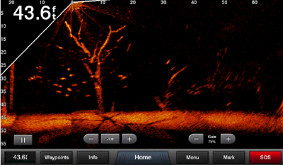 Garmin LiveScope™ Sonars  See Below Water in Real-Time
