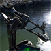 LiveScope 2 HD - LVS44 sonda